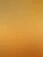 Analplug đ„”