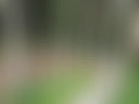 Selbstbefriedigung im Wald (von Drohne erwischt)