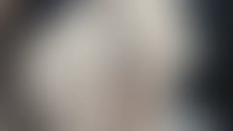Venus 2026