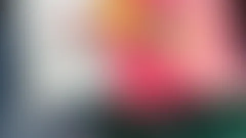 Neuer Einkauf