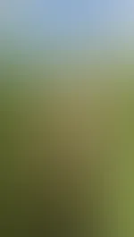 Kommst du mit mir nacktschwimmen?