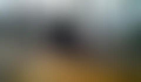 Voyeur im Wald