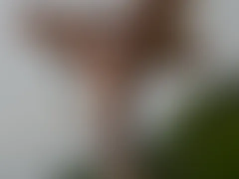 Outdoor Pole-Stream 💃🥰 Die neue Serie ist jetzt verfügbar 😘