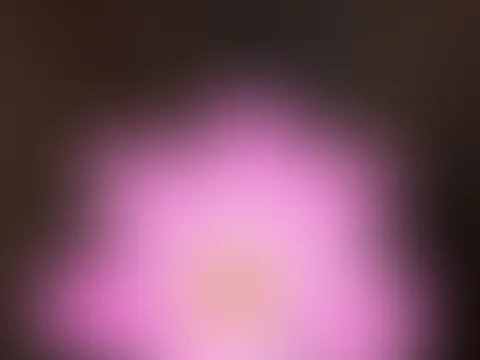 möchtest du das Original sehen? Dann melde dich