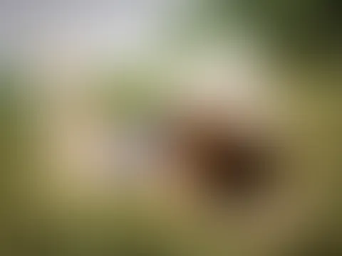 Mein Tag am entspannen