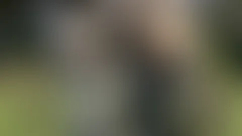 Was wohl noch passiert ist auf dem Hochsitz?🤫