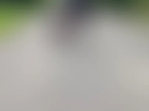 Beim spazieren mit meiner Hündin habe ich meinen Alpha geärgert und ihm mein Po gezeigt 😜