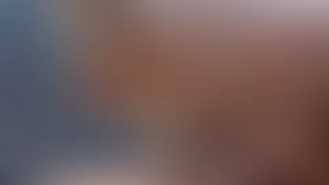 Follow up on the fan’s description
