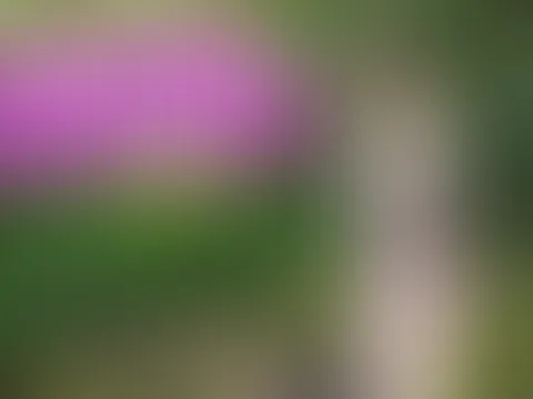 Hättest du dich getraut ?