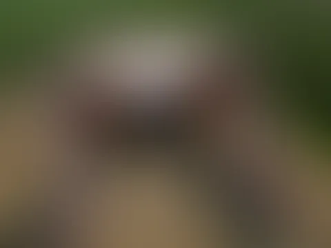 Warum liegt hier eigentlich Stroh??? Ihr wisst was jetzt passiert - 18++
