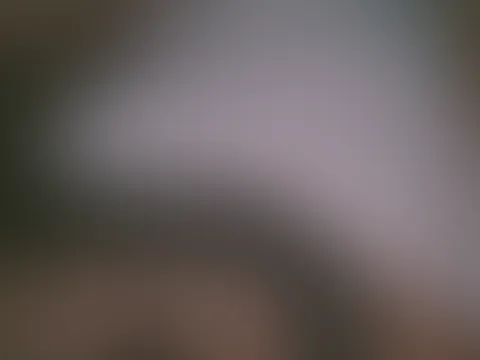 Nur Nylons