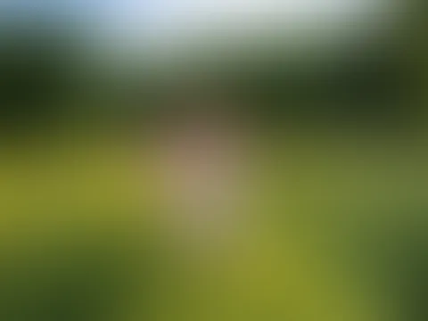 Einen schönen Pfingstmontag .... lass es Dir gut gehen! Deine Lena