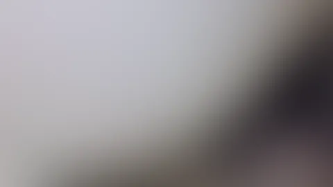 A wild ride