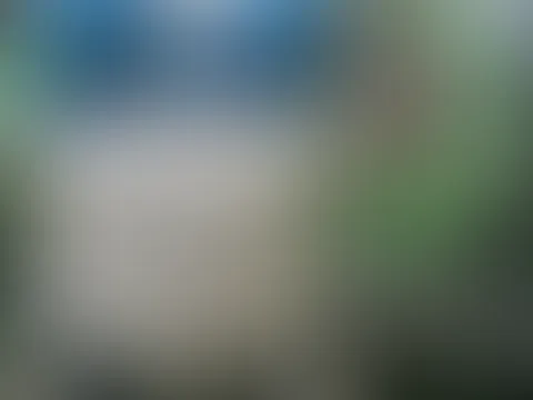 Spaß im Wald alleine