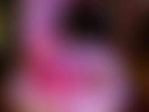 Merry Christmas 25