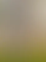 Wünsche einen erfolgreichen Freitag!