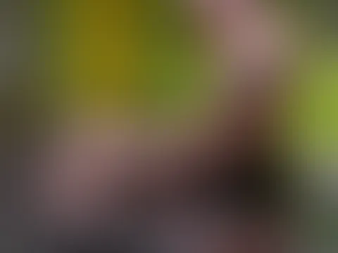 LIVEF**K vor der LIVECAM vor einem Stammuser(13 MIN LÄNGE)