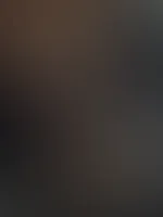 đ