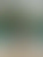 Heute für euch: Mein neues Fotoalbum