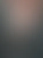 đ