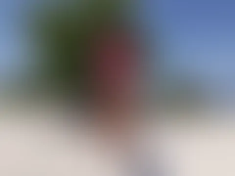 Mit jedem Schritt genieße ich die Aussicht ein bisschen mehr. Sonne, Meer und Freiheit – was braucht man mehr?
