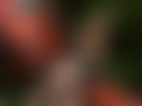 Fotoshooting im frischen Heu am Kuhn Mähwerk