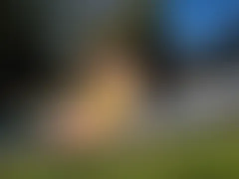 Was hälst du von der Farbe?