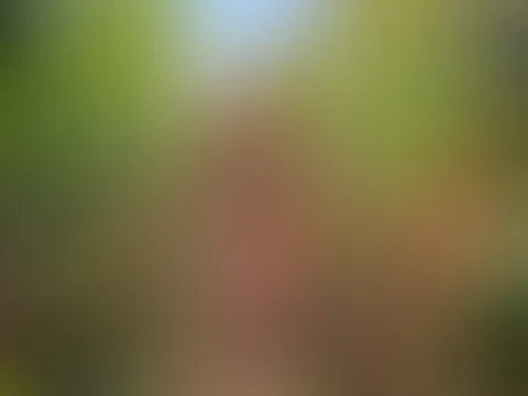 Spaß im Maisfeld 😉🌽💦 (4:15min Video)