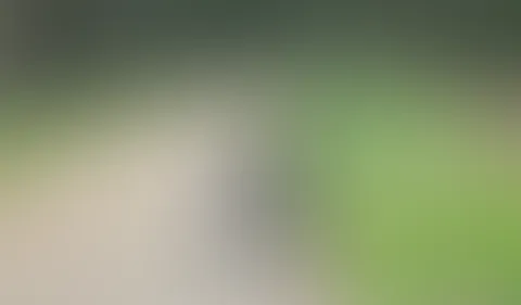 Letztens unterwegs gewesen und mein Fahrer das Schwein, fängt doch einfach an zu filmen. Dies ist der versprochene zweite Post, weil der Gestrige ausgeblieben ist💋💋