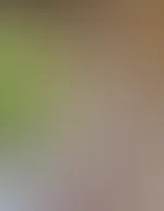 Manchmal wünscht man sich einfach nur Begleitung...