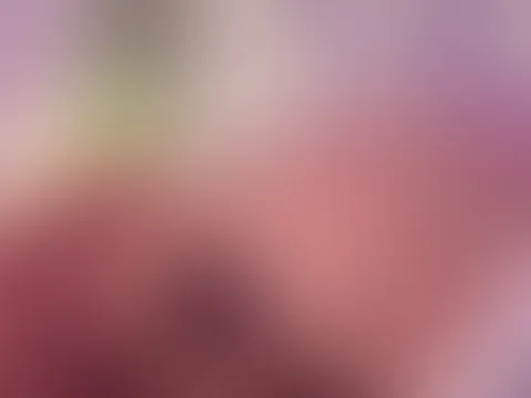 TEENY MIT A**L PLUG UND GROßEN S*****Z HART AUSEINANDER GENOMMEN🔥