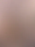 Shall I show you your room?