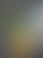 🤫🤫🤫🤫