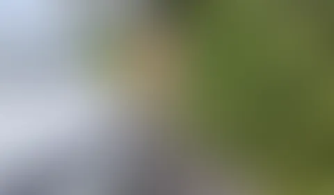 Beim Ausflug Blank am Auto gef**kt und reingespritzt!!!!!!!!!!