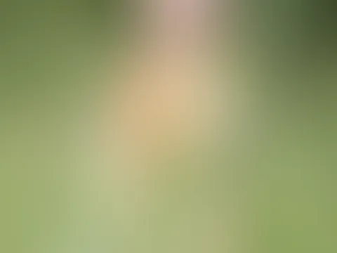 ein wunderschöner Tag