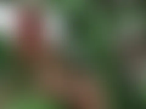 😏☺️☺️☺️