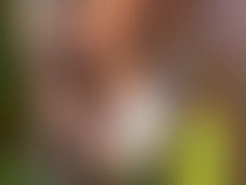 Komm in meinen Garten 🪴🫶💦💋