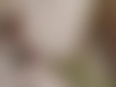 Erst mit Bilder Ihn auf gegeilt und zum Mittag habe ich Ihn dann einen geblasen. Und die kleine Sau hat mir ans Kinn und auf meine dicken Titten gespritzt😈🤤🔥