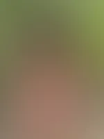 Hast du schon Pläne für den Feiertag?