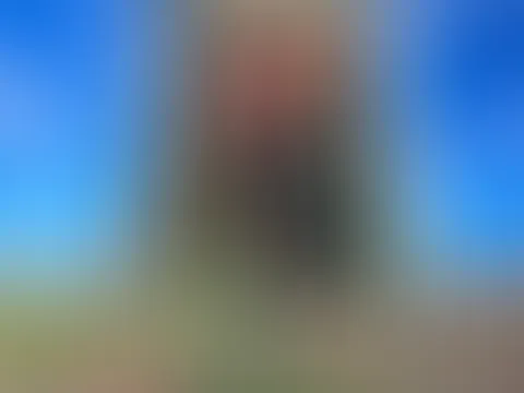 Der Jägerstand und Umgebung....