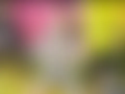 3 ON 1 - ICH BIN EIN KLEINE GEILE WILLIGE PUTZFRAU (Z-FILMZ)