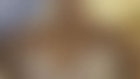 Solo
