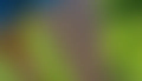 Magst Du mir die Spucke von meinen Titten weg Lutschen? ;)
