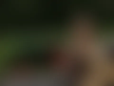 Mein Kalendershooting mit dem alten Deutz