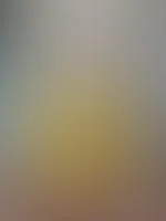 Pikatchu Luna ist online