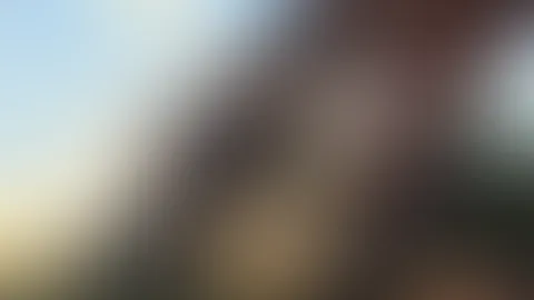 Sonnenuntergang genießen 👠