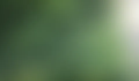 Beim P*****n erwischt und schamlos ausgenutzt
