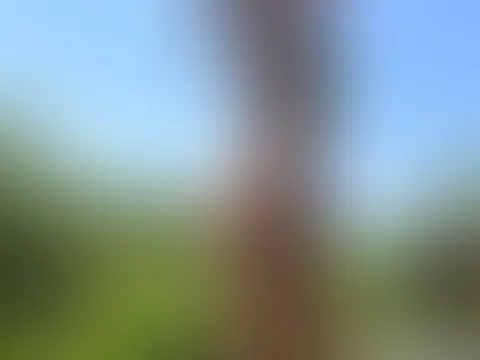 Ich liebe den Sommer 😌 Besonders wenn man einfach jeden Tag genießen kann