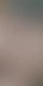 Nudes