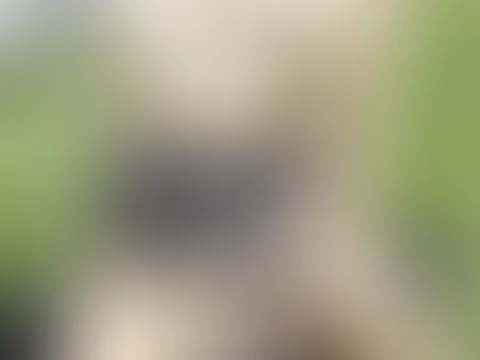 ABONENNTEN SPECIAL **POLIZEIKELLENPORNO*